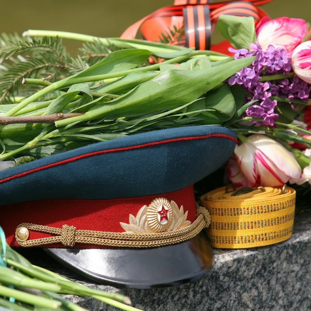 Обои цветы, день победы, фуражка, flowers, victory day, cap разрешение 2560x1600 Загрузить