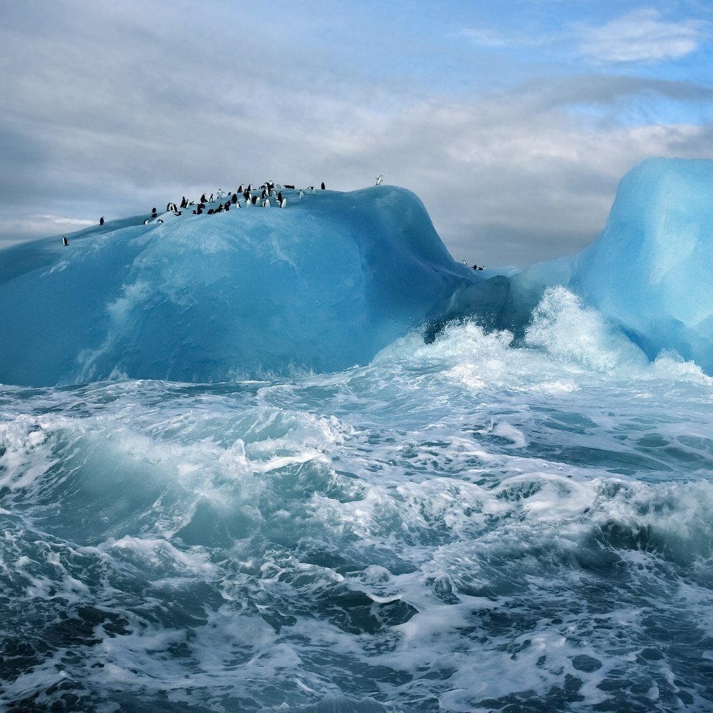 Обои океан, антарктида, пингвины, ледник, the ocean, antarctica, penguins, glacier разрешение 3200x2000 Загрузить