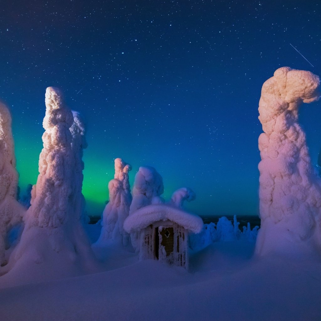 Обои ночь, деревья, снег, природа, лес, зима, домик, night, trees, snow, nature, forest, winter, house разрешение 1920x1200 Загрузить