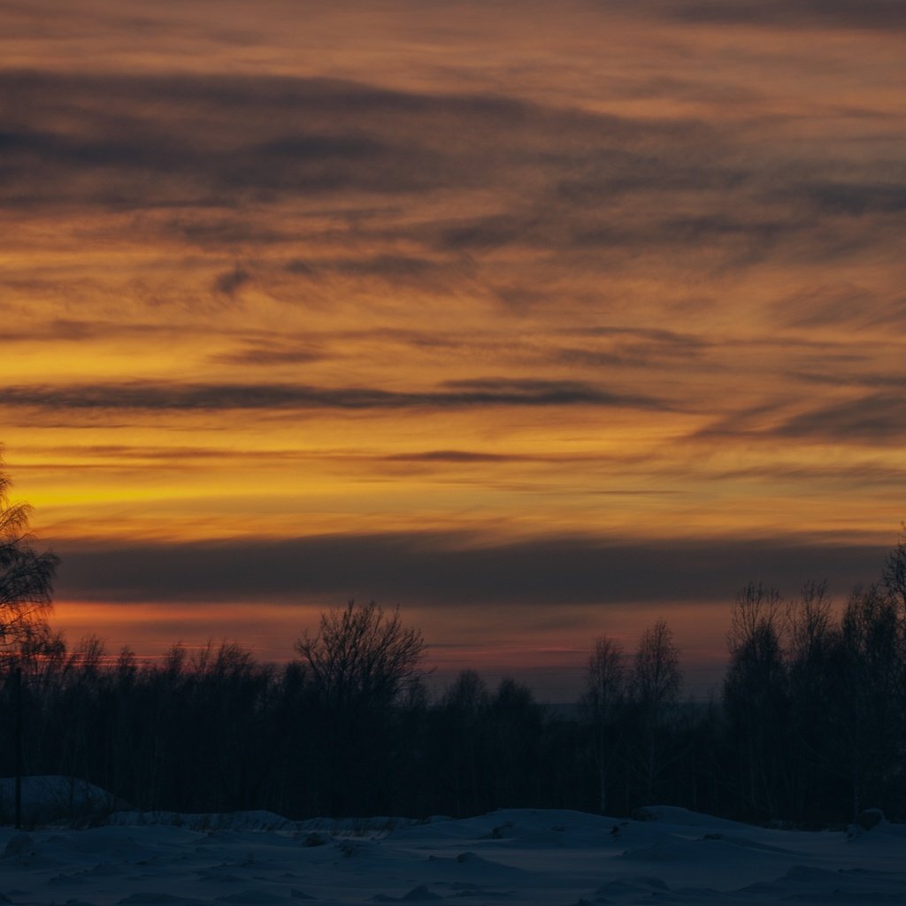 Обои деревья, снег, закат, зима, trees, snow, sunset, winter разрешение 4230x2820 Загрузить