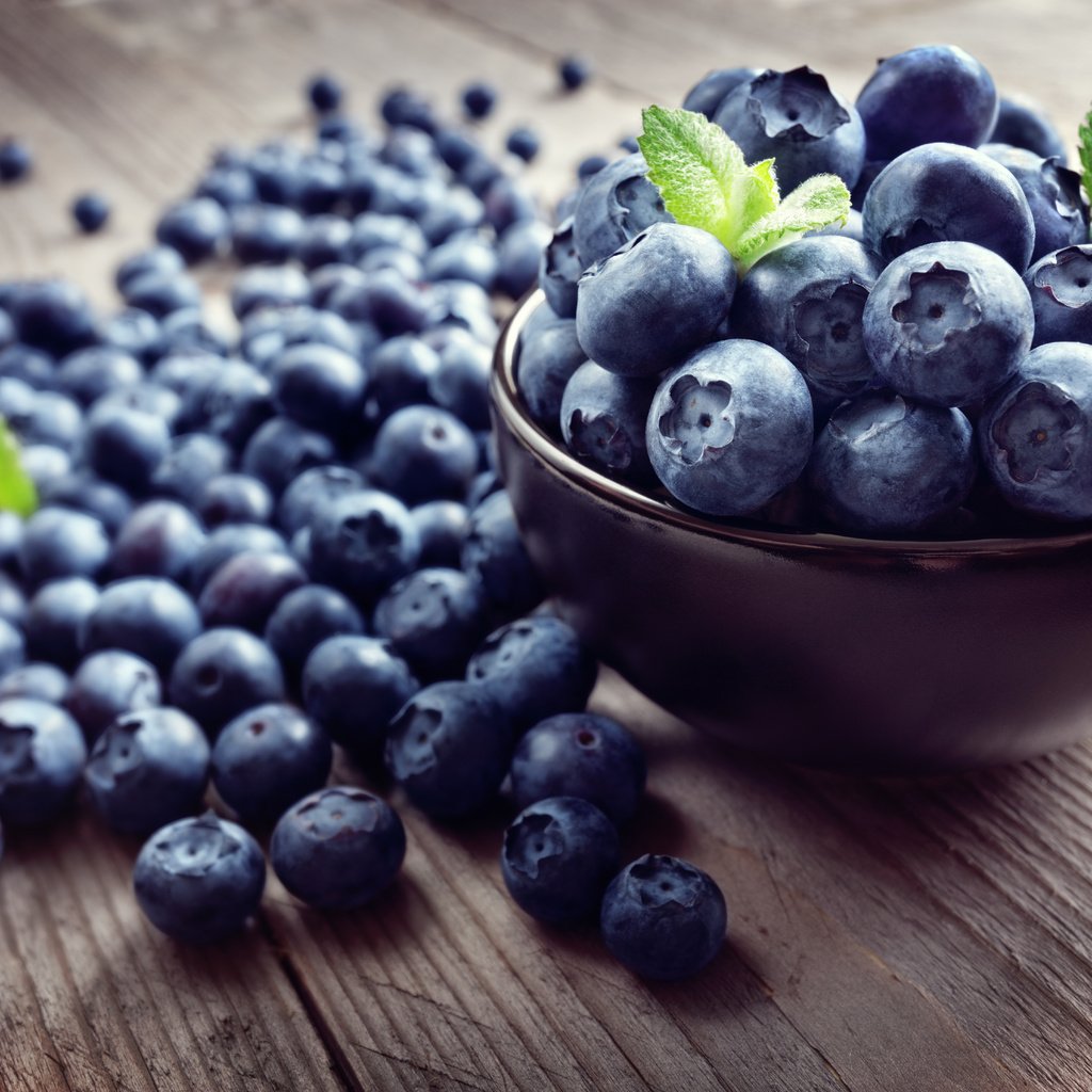 Обои черника, blueberries разрешение 8688x5792 Загрузить