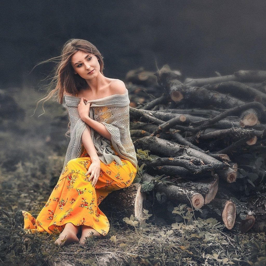 Обои девушка, фон, поза, взгляд, волосы, дрова, вадим мельник, girl, background, pose, look, hair, wood, vadim miller разрешение 1920x1200 Загрузить