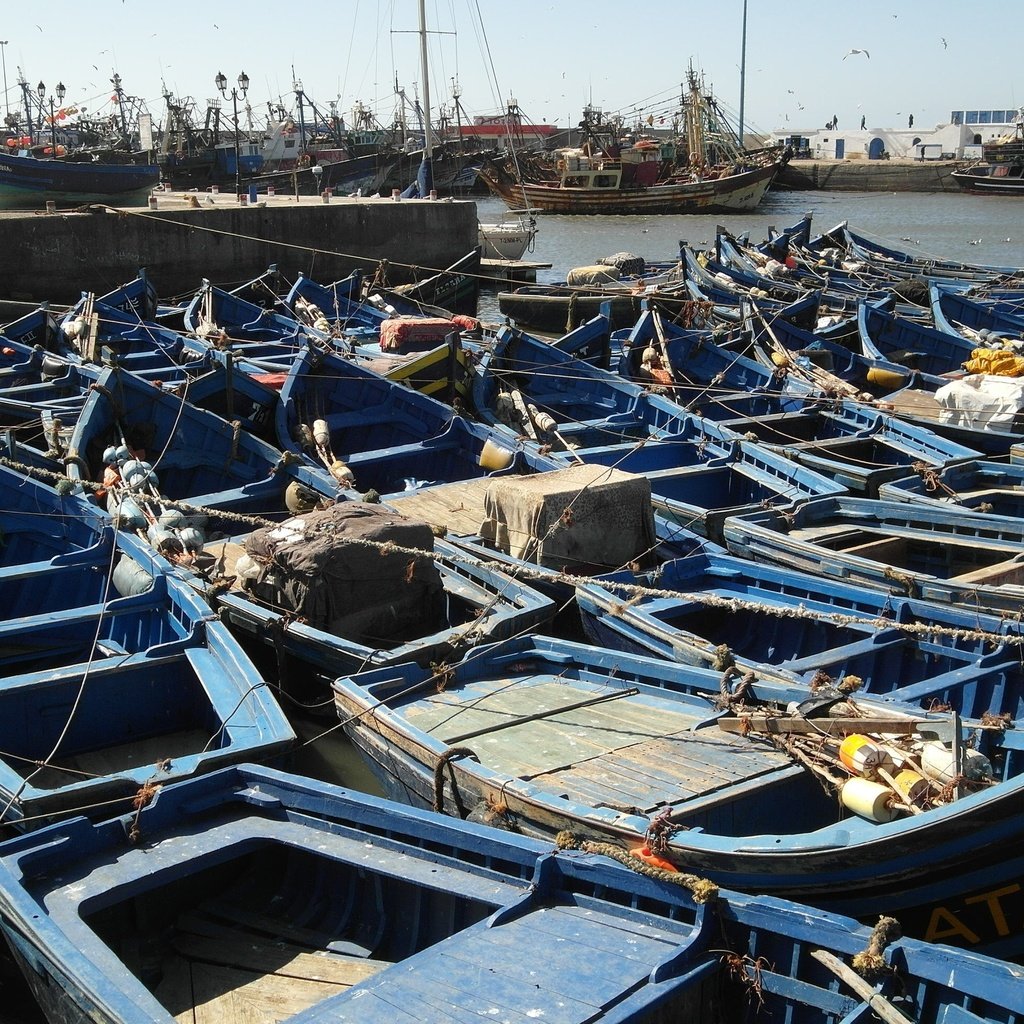 Обои берег, лодки, пристань, порт, марокко, рыболовное судно, эссаурия, shore, boats, marina, port, morocco, fishing vessel, essaouira разрешение 2592x1944 Загрузить