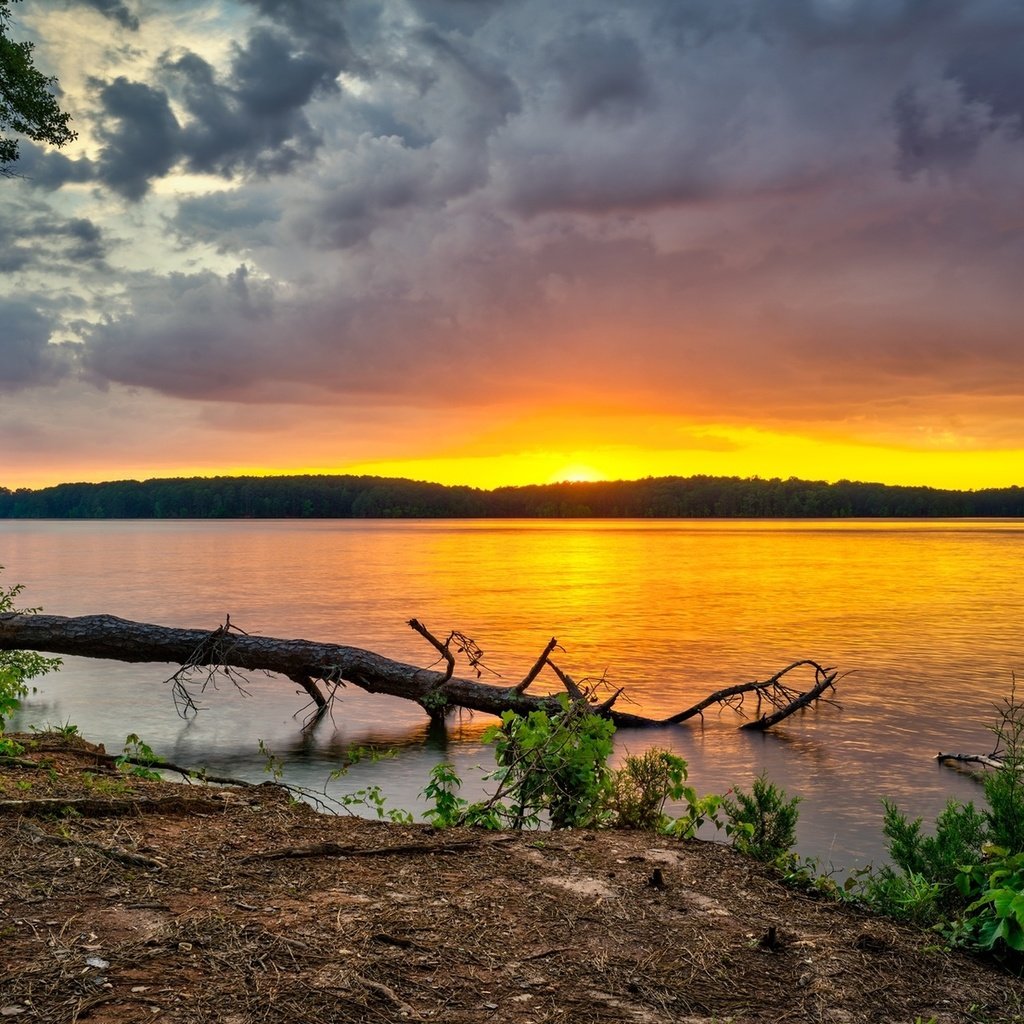 Обои небо, west point lake, деревья, река, лес, тучи, рассвет, сша, грузия, the sky, trees, river, forest, clouds, dawn, usa, georgia разрешение 1920x1200 Загрузить