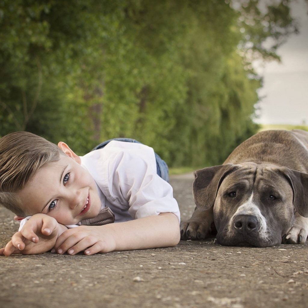 Обои улыбка, собака, ребенок, мальчик, друзья, smile, dog, child, boy, friends разрешение 6000x4000 Загрузить