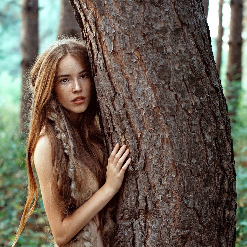 Обои деревья, лицо, природа, ствол, дерево, коса, лес, веснушки, девушка, взгляд, рыжая, волосы, trees, face, nature, trunk, tree, braid, forest, freckles, girl, look, red, hair разрешение 2048x1363 Загрузить