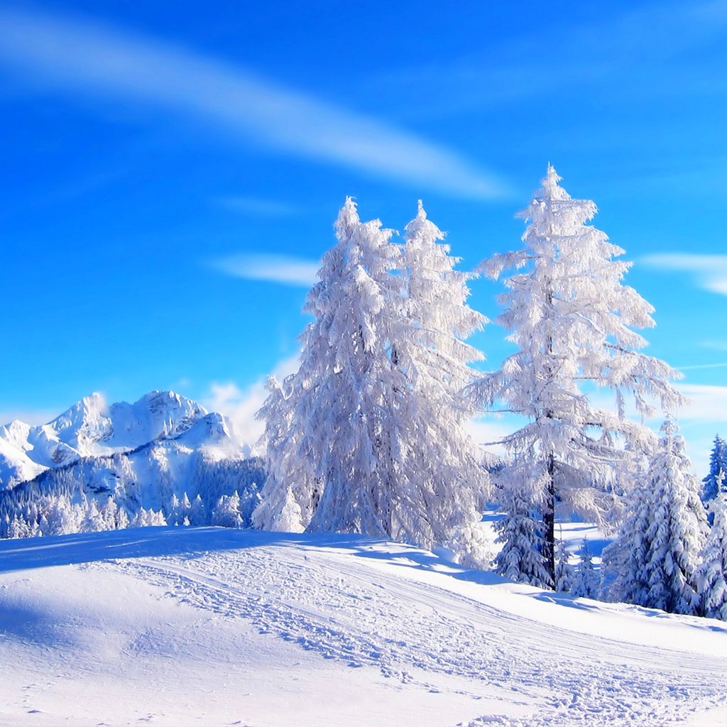 Обои небо, облака, деревья, горы, снег, зима, иней, the sky, clouds, trees, mountains, snow, winter, frost разрешение 5111x3402 Загрузить