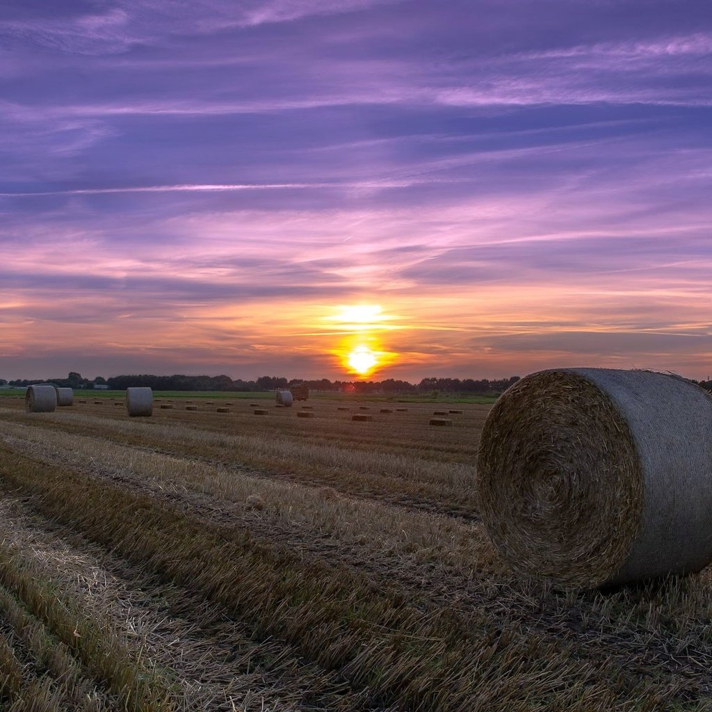 Обои небо, облака, закат, поле, сено, лето, тюки, рулоны, the sky, clouds, sunset, field, hay, summer, bales, rolls разрешение 2048x1152 Загрузить