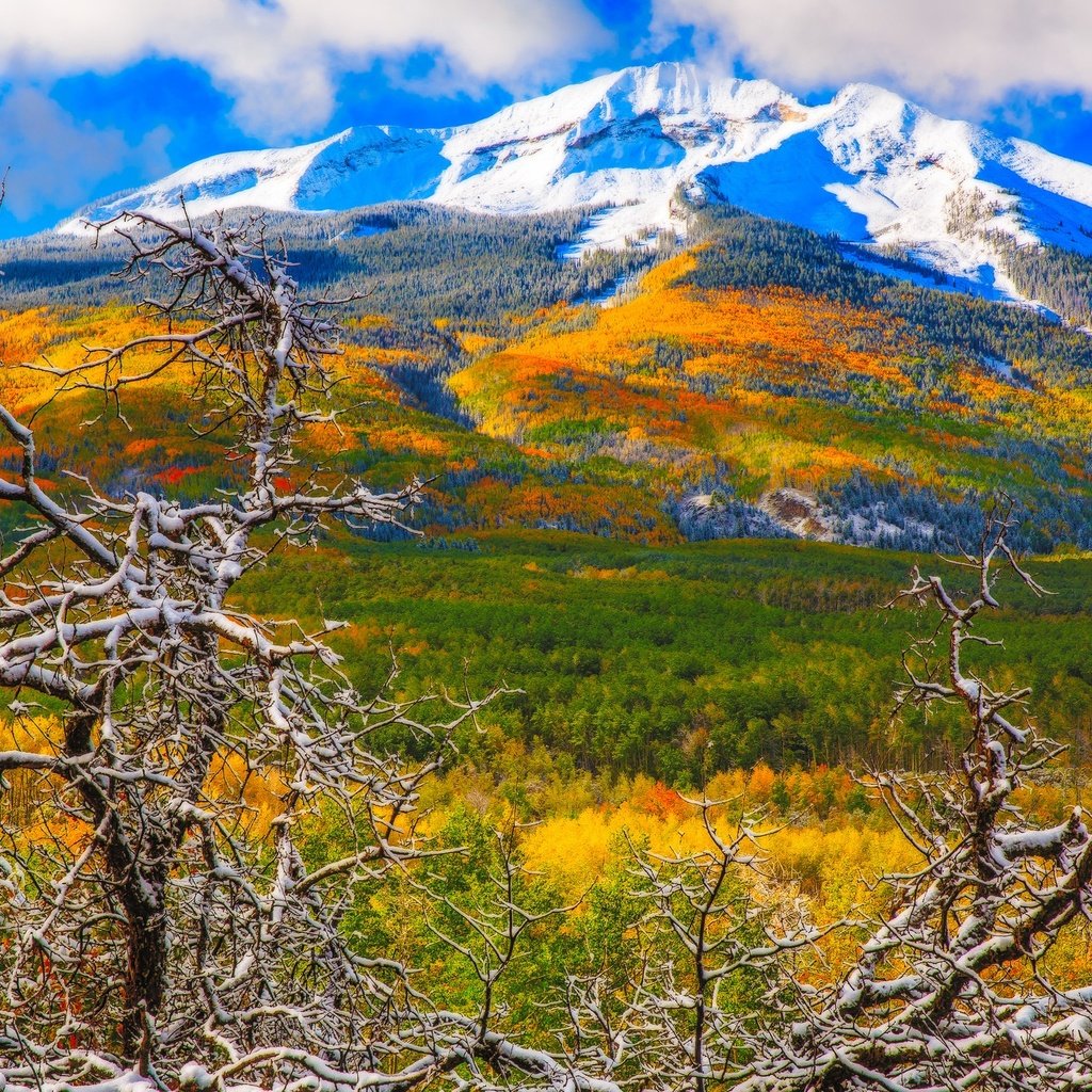 Обои деревья, горы, снег, осень, колорадо, аспен, trees, mountains, snow, autumn, colorado, aspen разрешение 1951x1390 Загрузить