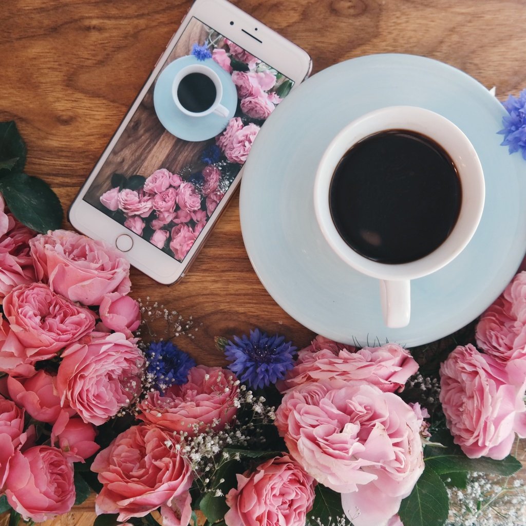 Обои цветы, розы, кофе, завтрак, flowers, roses, coffee, breakfast разрешение 5183x3402 Загрузить
