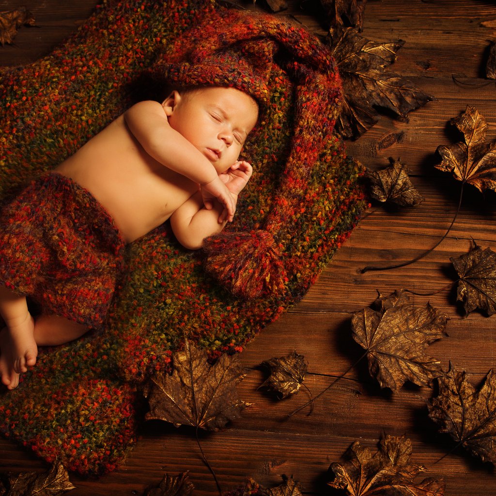 Обои листья, листва, сон, дети, ребенок, спящий, младенец грудной ребёнок, leaves, foliage, sleep, children, child разрешение 4318x3090 Загрузить
