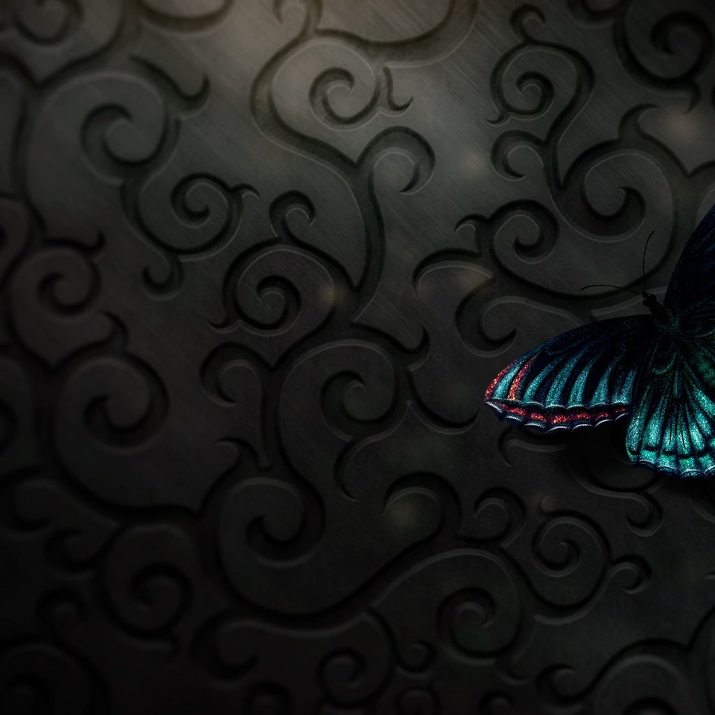Обои бабочка, butterfly разрешение 2560x1440 Загрузить