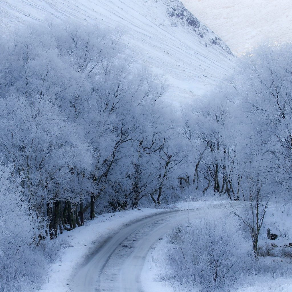 Обои дорога, снег, зима, road, snow, winter разрешение 3840x2160 Загрузить