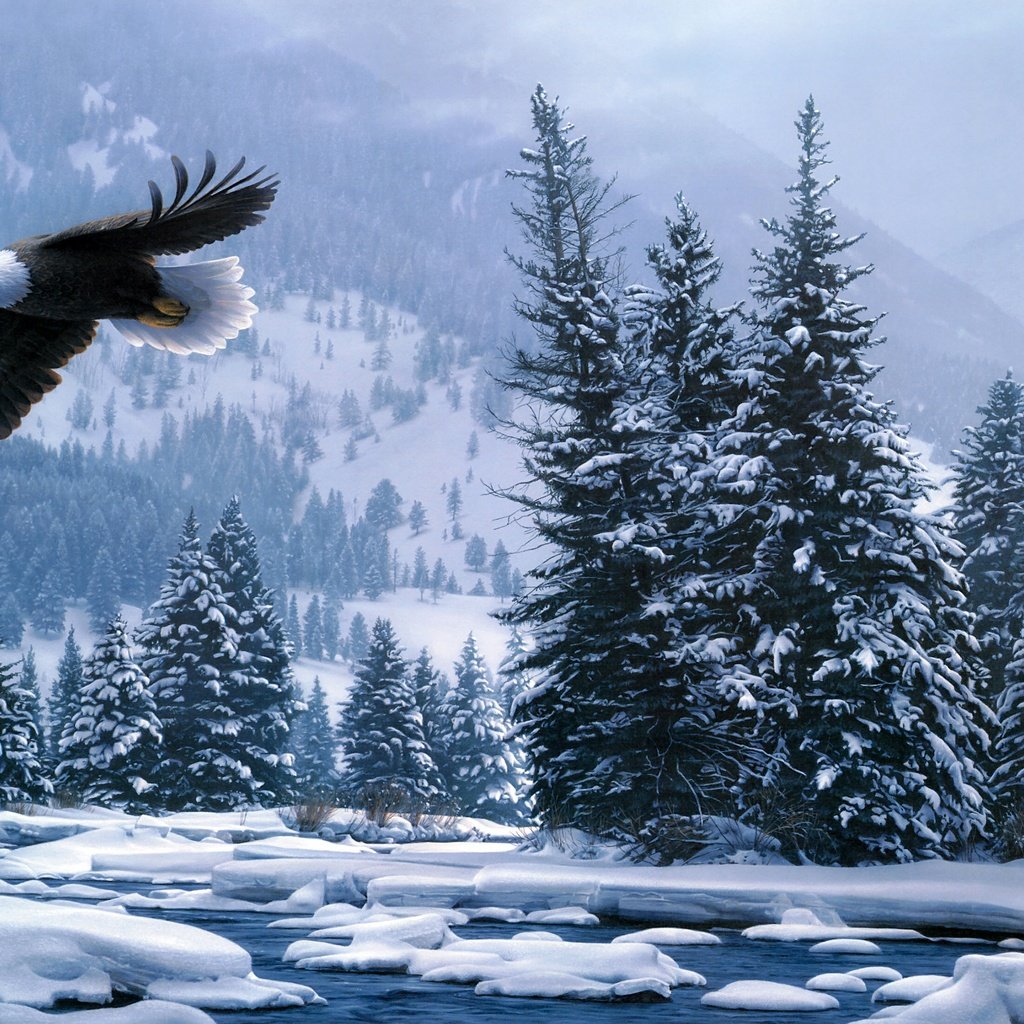 Обои снег, лес, зима, полет, белоголовый орлан, daniel smith, snow, forest, winter, flight, bald eagle разрешение 4416x2205 Загрузить