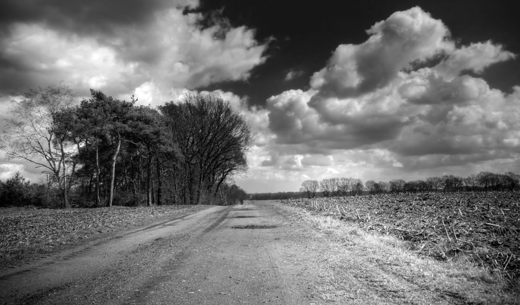 Обои дорога, облака, поле, черно-белая, road, clouds, field, black and white разрешение 2560x1600 Загрузить
