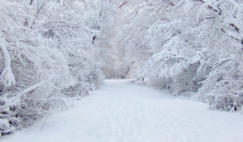 Обои дорога, снег, зима, road, snow, winter разрешение 1920x1280 Загрузить