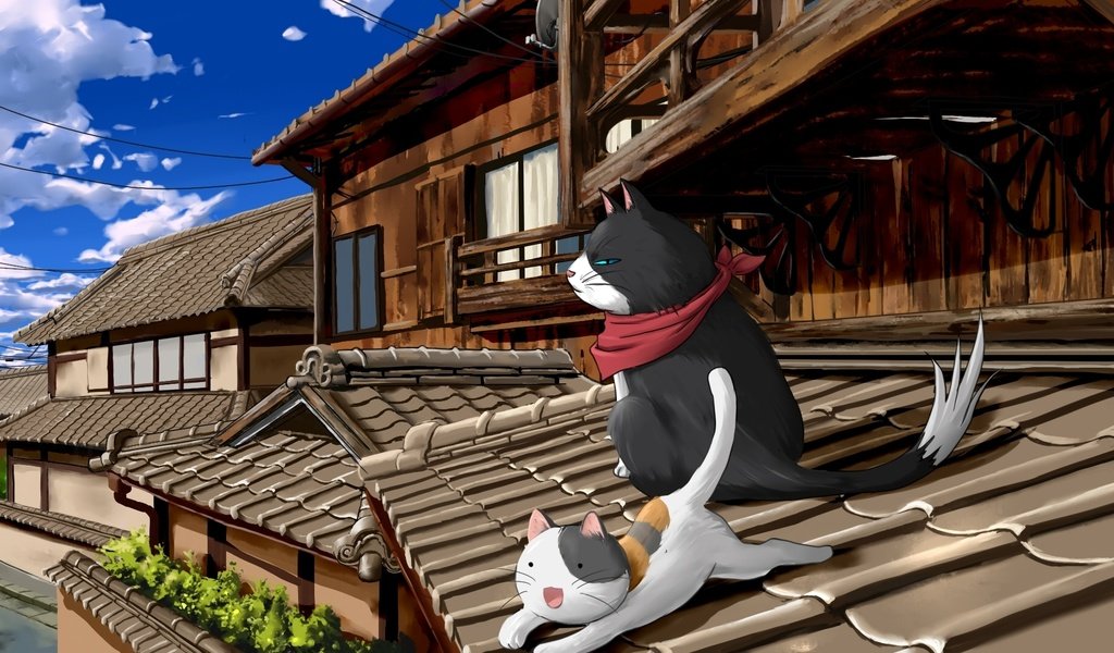 Обои коты, крыша, nyan koi, cats, roof разрешение 1920x1080 Загрузить