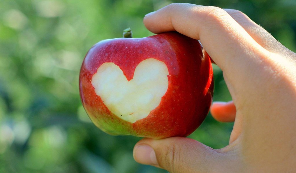 Обои рука, сердце, яблоко, hand, heart, apple разрешение 1920x1080 Загрузить
