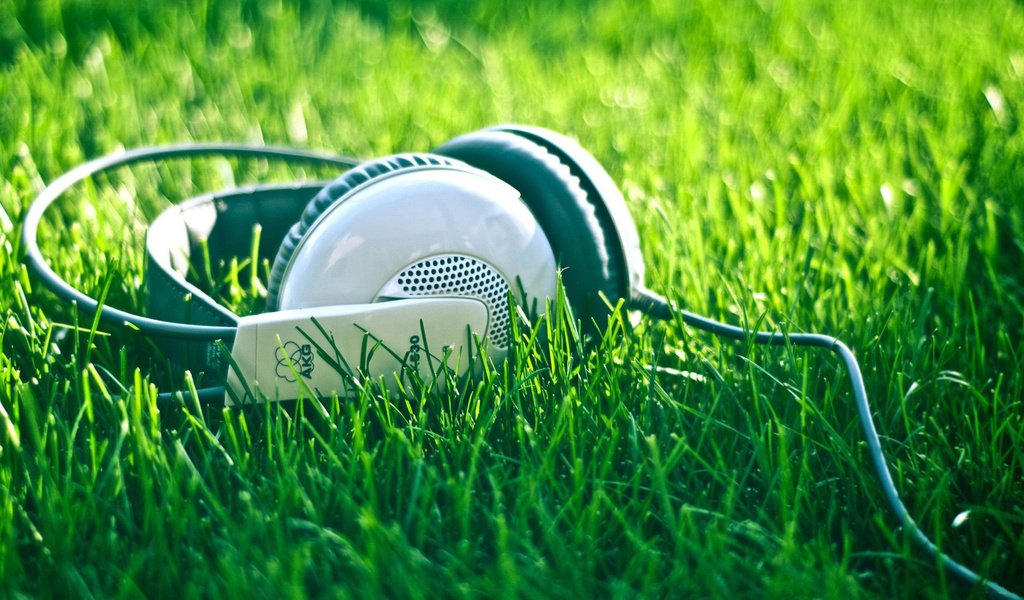 Обои природа, лето, музыка, наушники, травка, шнур, nature, summer, music, headphones, weed, cord разрешение 1920x1080 Загрузить