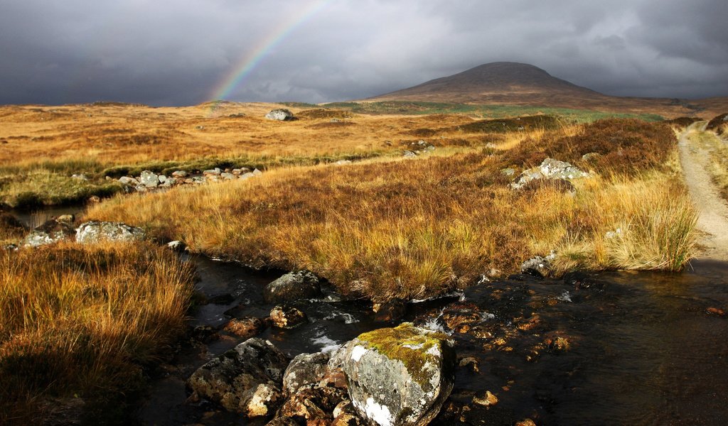 Обои небо, вода, камни, ручей, поле, радуга, холм, the sky, water, stones, stream, field, rainbow, hill разрешение 2560x1600 Загрузить