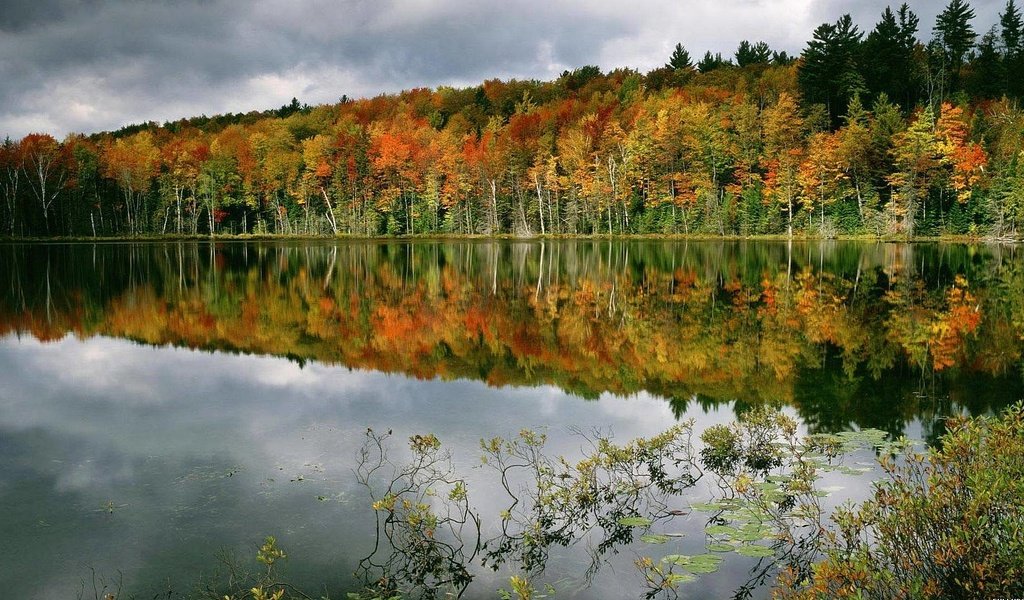 Обои деревья, вода, озеро, лес, отражение, осень, trees, water, lake, forest, reflection, autumn разрешение 1920x1080 Загрузить