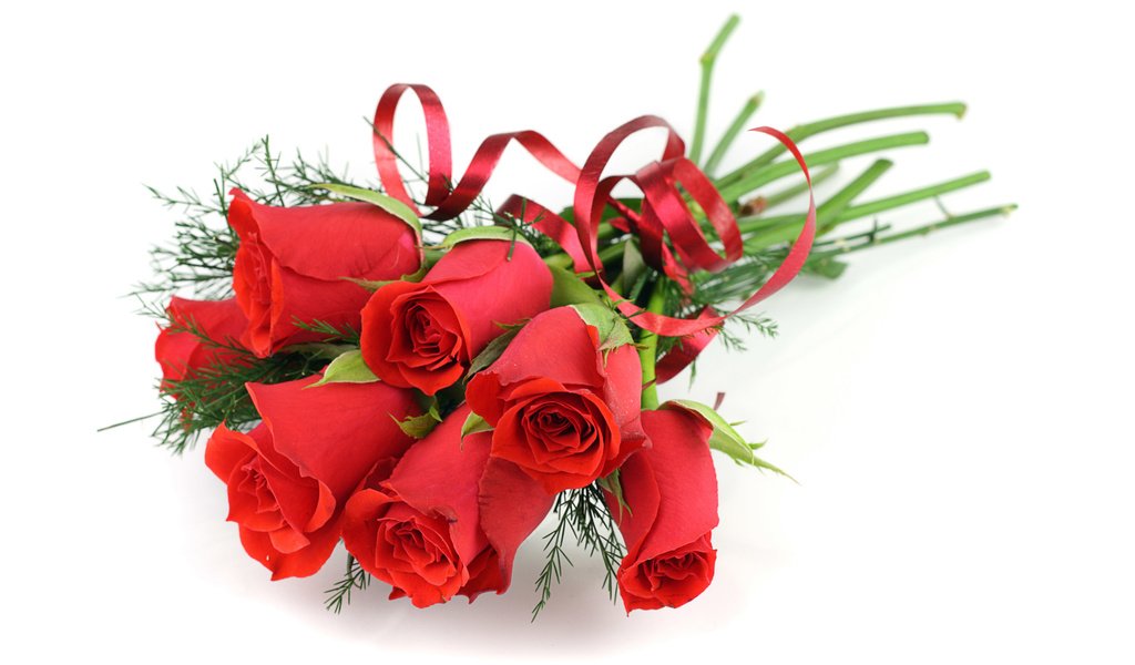 Обои цветы, розы, красные, букет, белый фон, ленточка, flowers, roses, red, bouquet, white background, ribbon разрешение 2560x1600 Загрузить