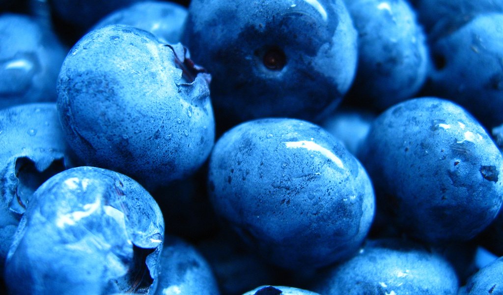 Обои капли, ягода, черника, drops, berry, blueberries разрешение 2560x1600 Загрузить