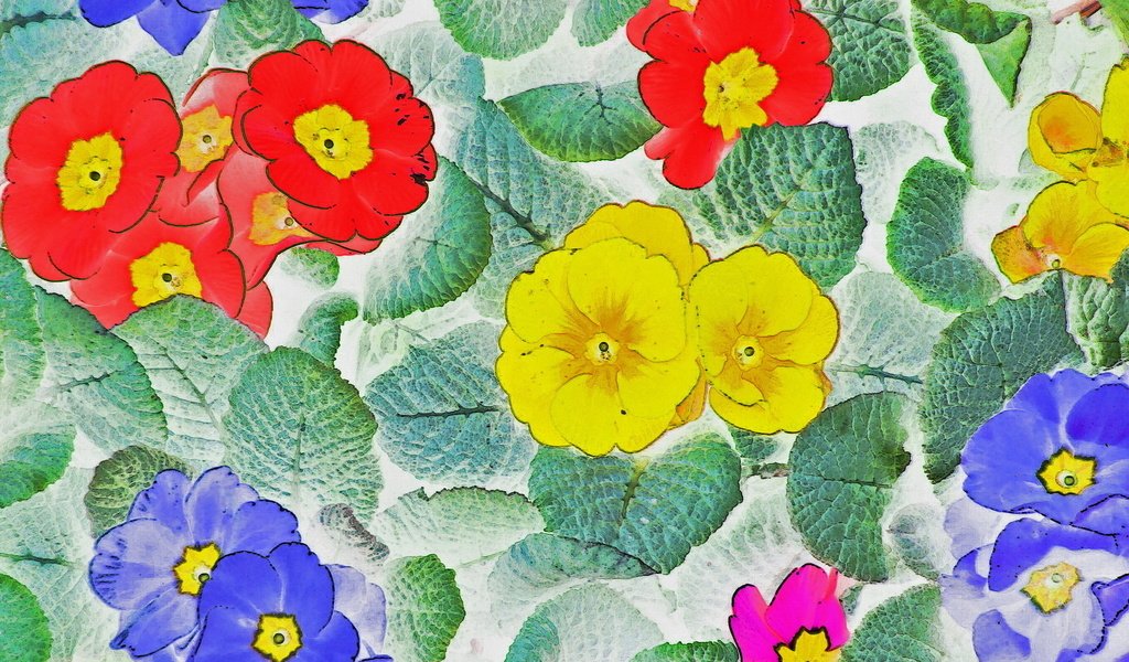 Обои цветы, текстура, листья, фон, лепестки, flowers, texture, leaves, background, petals разрешение 1920x1200 Загрузить