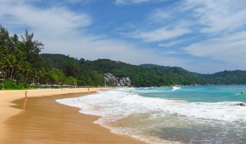 Обои пляж, пальмы, тропики, beach, palm trees, tropics разрешение 3062x2041 Загрузить