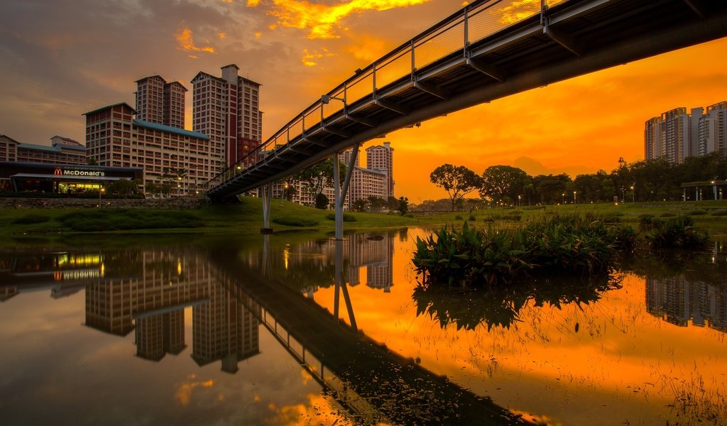 Обои закат, мост, сингапур, бишен парк, sunset, bridge, singapore, bishan park разрешение 2048x1446 Загрузить