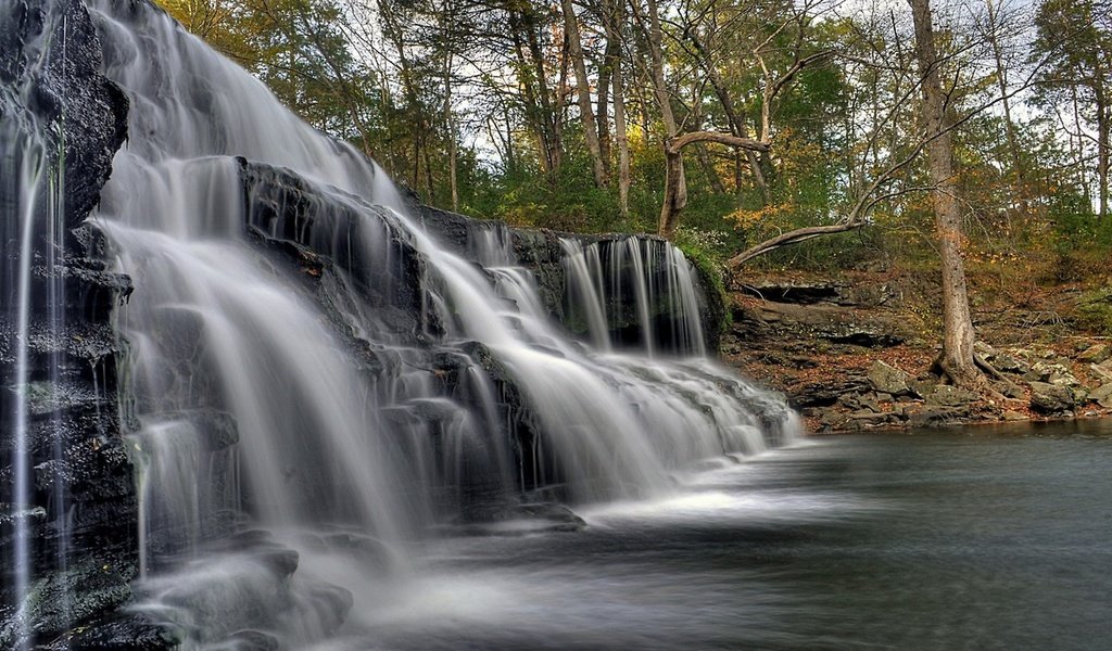 Обои водопад в лесу, waterfall in the forest разрешение 2560x1440 Загрузить