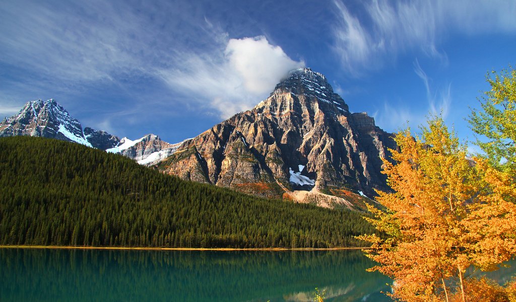 Обои деревья, mount chephren, банф, озеро, провинция альберта, горы, национальный парк банф, лес, осень, канада, альберта, lower waterfowl lake, howse peak, trees, banff, lake, alberta, mountains, banff national park, forest, autumn, canada, albert разрешение 2048x1308 Загрузить