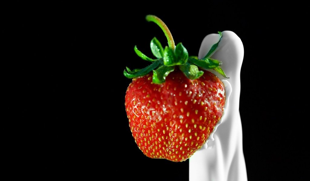 Обои ягода, клубника, сливки, berry, strawberry, cream разрешение 1920x1200 Загрузить