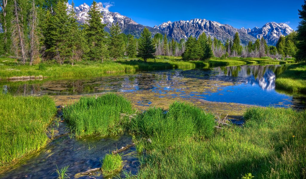 Обои трава, деревья, река, горы, лес, даль, зеленая, речка, grass, trees, river, mountains, forest, dal, green разрешение 2560x1600 Загрузить