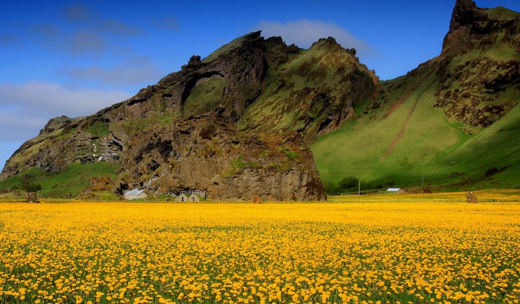 Обои небо, цветы, горы, поле, весна, одуванчики, долина, желтые, the sky, flowers, mountains, field, spring, dandelions, valley, yellow разрешение 1920x1200 Загрузить