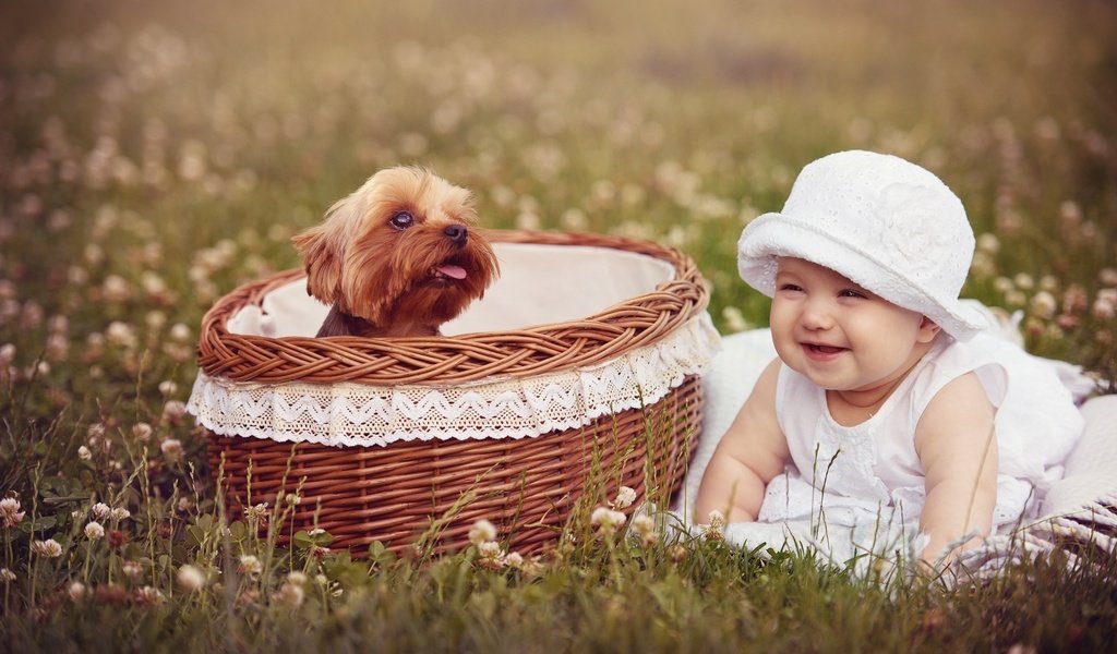 Обои собака, девочка, корзина, ребенок, dog, girl, basket, child разрешение 2000x1306 Загрузить