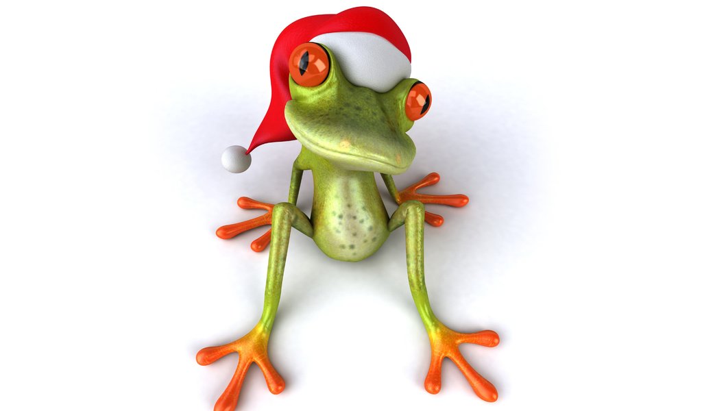 Обои глаза, лягушка, шапка, праздник, eyes, frog, hat, holiday разрешение 6000x4000 Загрузить