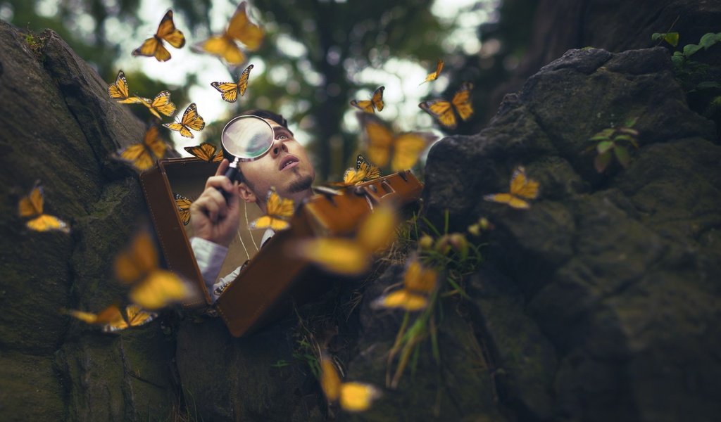 Обои фон, парень, бабочки, мужчина, лупа, background, guy, butterfly, male, magnifier разрешение 2560x1536 Загрузить