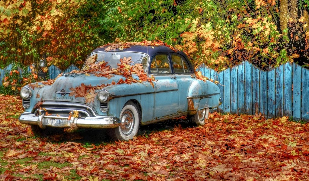 Обои деревья, листва, ретро, забор, автомобиль, oldsmobile, trees, foliage, retro, the fence, car разрешение 2560x1600 Загрузить