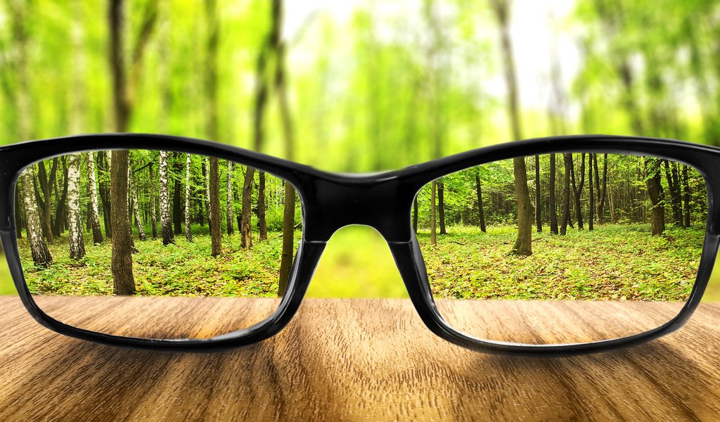 Обои земля, лес, очки, бокалы, увеличение, землей, earth, forest, glasses, increase, land разрешение 2936x1582 Загрузить