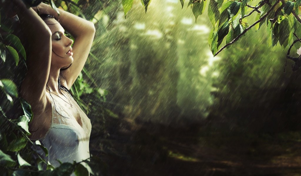 Обои лес, девушка, модель, дождь, мокрая, forest, girl, model, rain, wet разрешение 2880x1888 Загрузить