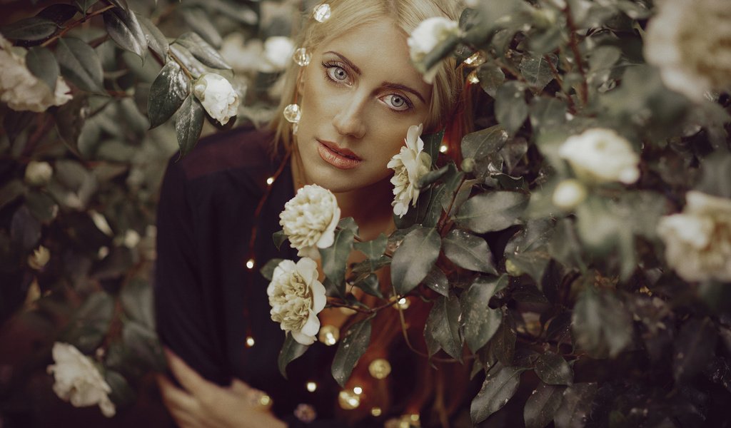 Обои глаза, цветы, девушка, фон, лето, волосы, лицо, eyes, flowers, girl, background, summer, hair, face разрешение 2048x1365 Загрузить