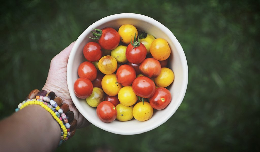 Обои рука, овощи, помидоры, томаты, hand, vegetables, tomatoes разрешение 6000x4000 Загрузить