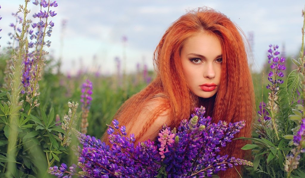 Обои цветы, девушка, рыжая, волосы, губы, люпин, flowers, girl, red, hair, lips, lupin разрешение 2000x1227 Загрузить