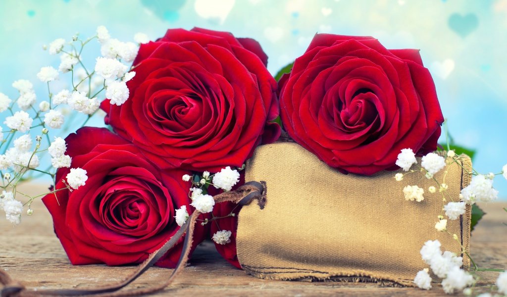 Обои цветы, розы, букет, открытка, дерева,  цветы, роз, гипсофила, flowers, roses, bouquet, postcard, wood, gypsophila разрешение 6360x4240 Загрузить