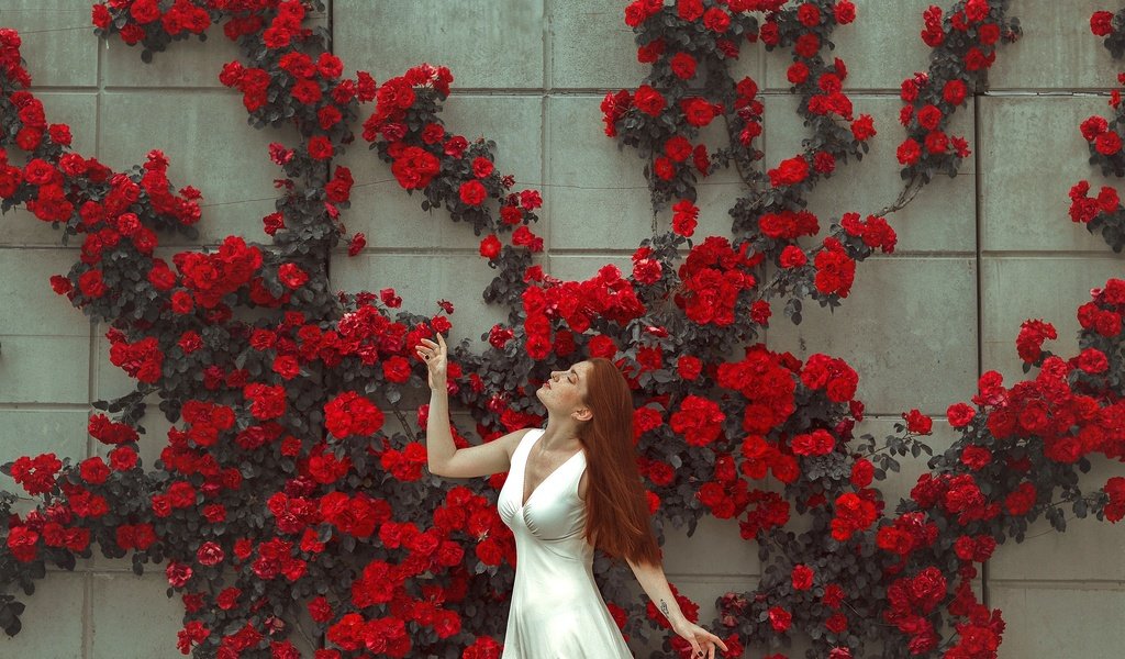 Обои цветы, девушка, платье, поза, стена, лицо, flowers, girl, dress, pose, wall, face разрешение 2048x1365 Загрузить