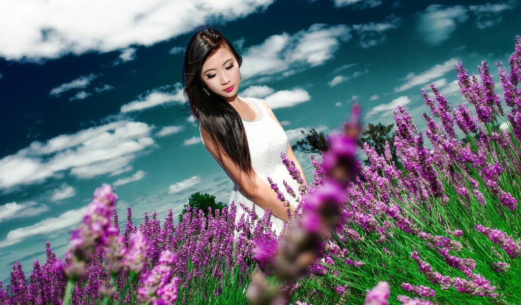 Обои цветы, девушка, лето, волосы, азиатка, flowers, girl, summer, hair, asian разрешение 2560x1440 Загрузить