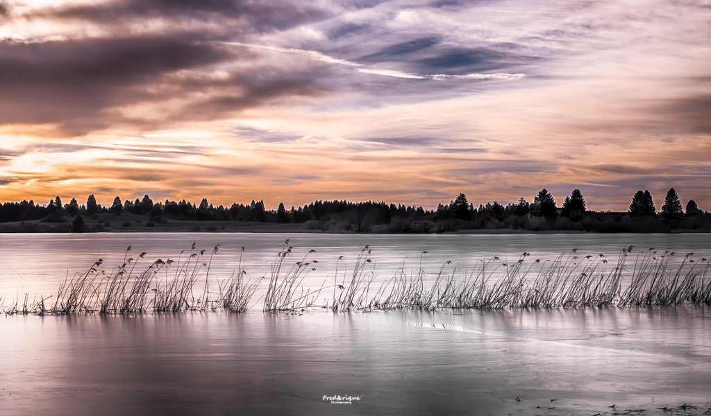 Обои озеро, закат, камыш, lake, sunset, reed разрешение 5472x3080 Загрузить