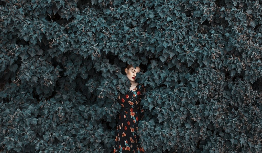 Обои девушка, платье, листва, лицо, girl, dress, foliage, face разрешение 2048x1365 Загрузить