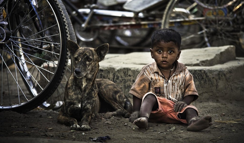 Обои собака, дети, ребенок, мальчик, велосипед, dog, children, child, boy, bike разрешение 2500x1561 Загрузить